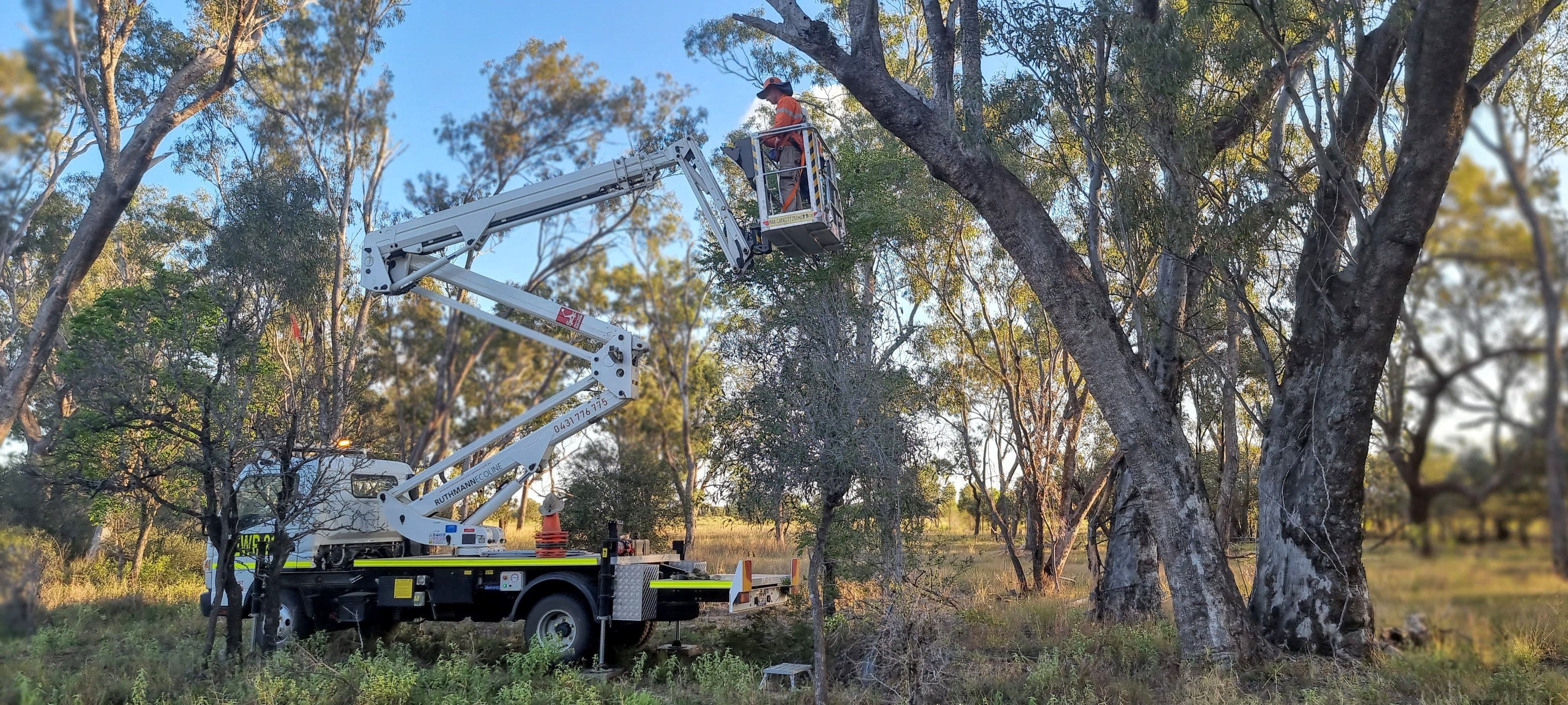 Nest Box Installation & Environmental Applications
